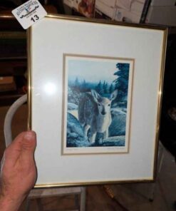 "Young Fawn" Amneris Fernandez Print