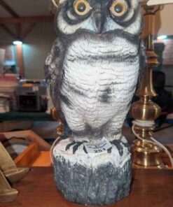 Plastic Owl statue