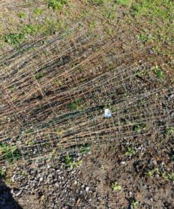 Wire Tomato Cages