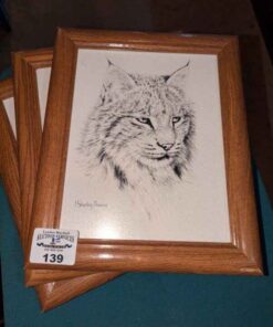 J. Sharkey Thomas framed animal prints