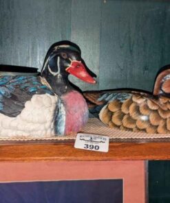 Duck Plant holder and wood statue