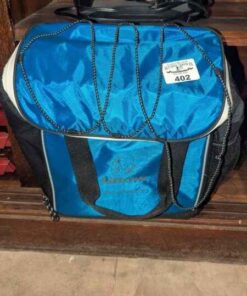 Insulated bag on wheels