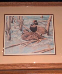 Signed Waterfowl Print #562/2000