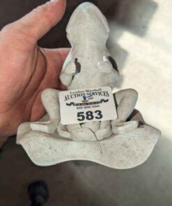 Frog statue candle holder