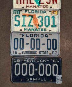 Florida and Kentucky sample license plate