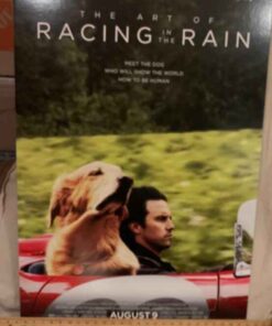 THE ART OF RACING IN THE RAIN Movie Poster