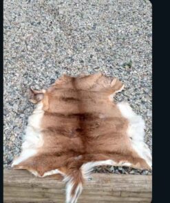 Deer hide