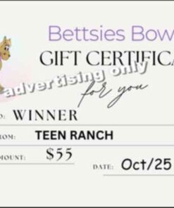 BETTSIE'S BOWS #3