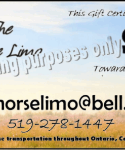 GIFT CERTIFICATE - HORSE LIMO