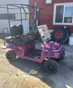 Unused mini Kandi Eletric golf cart