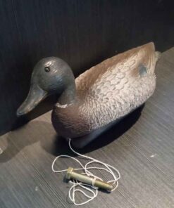 Blackhead decoy