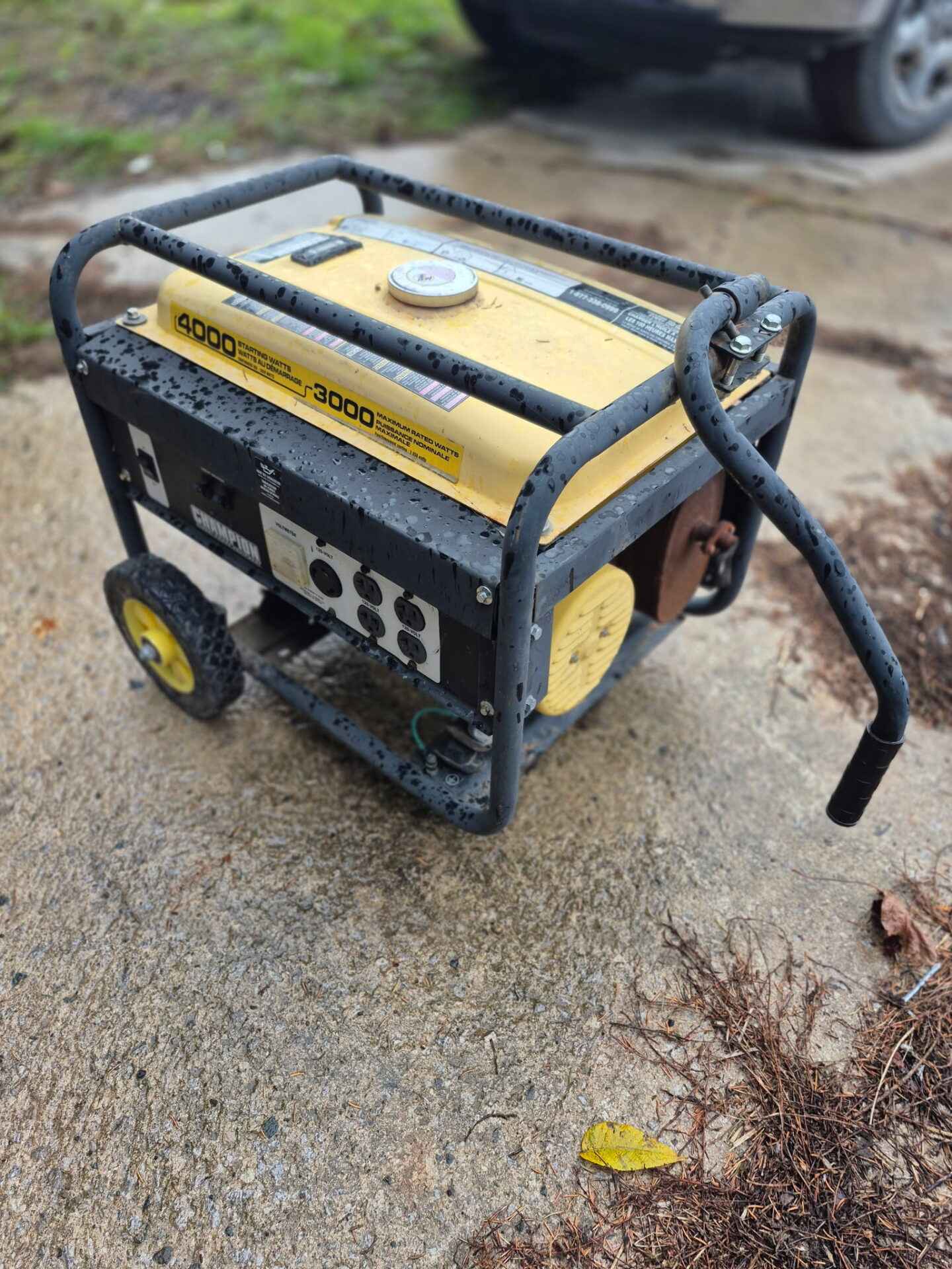 4000 watt generator....was running in the fall