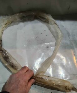 Super long extra HD cable ties