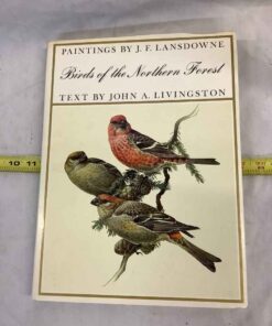 Birds of the Northern Forest