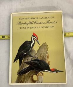 Birds of the Eastern Forest :1