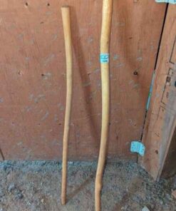 Walking sticks