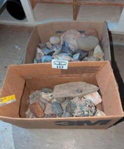 Shells, Rock and mineral specimens