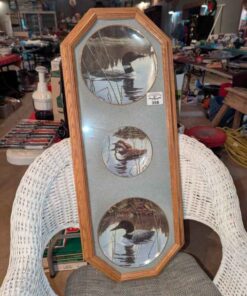 Time for Reflection Collector Plates in combination frame