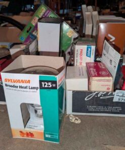 Light Bulbs -assorted