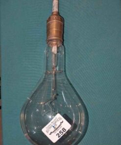 Large Vintage incandescent light bulb