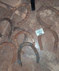 Horse shoes