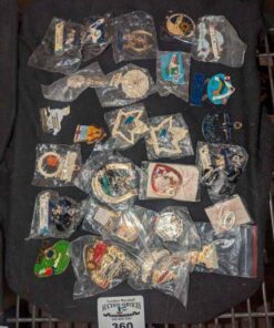 Lion's Club, Labour, convention, etc pins