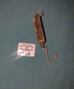 Pocket Balance Fish Scale