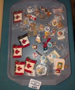 Lion's club and assorted pins