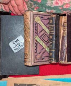 Early Edition Book Titles