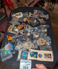 Lion's Club and assorted pins