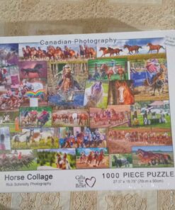 Horse puzzle