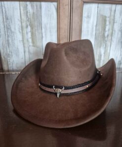 Brown cowboy hat