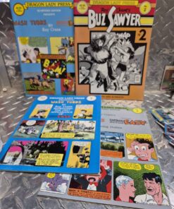 Qty 4 Dragon lady press comic books