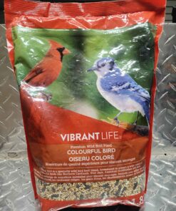 Vibrant life colorful bird red bag