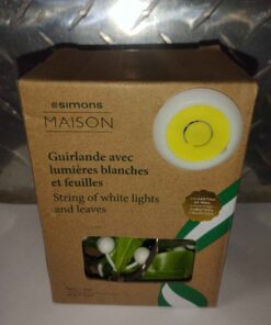 Simon's maison lighted garland