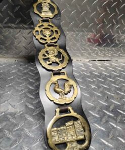 Leather decorative with 5 brass