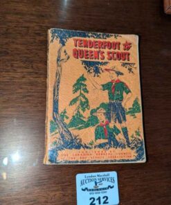 "Tenderfoot to Queen's Scout"