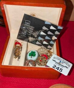 Assorted Earring, Brooches, etc