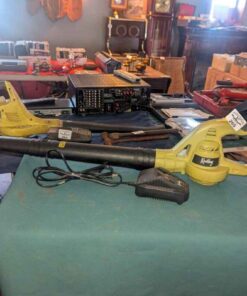 Radley Cordless blower with battery and charging dock