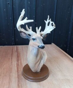 Acrylic buck head