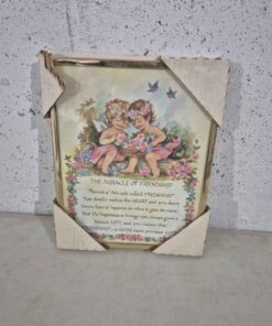 The miracle of friendship plaque