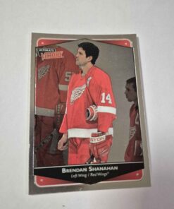 Ultimate victory Brendan Shanahan