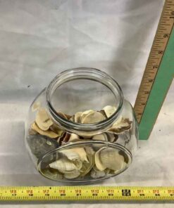 Goldfish Bowl with Shells