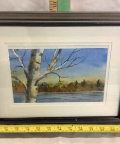 Framed Watercolour 13” x 10”