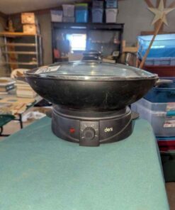 Deni Electric wok