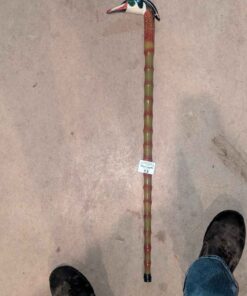Wood Duck head Walking stick