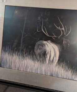 Rod Tribiger framed print