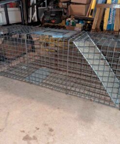Live Animal trap
