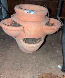 Terra Cotta Planter