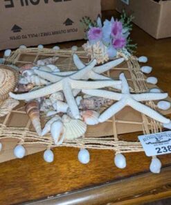 Seashell decorative accent